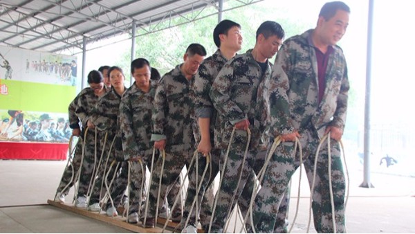 地衛士地坪-團隊協作1